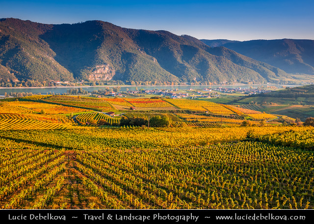 Austria - Wachau Valley - UNESCO Area - Vineyards during autumn time