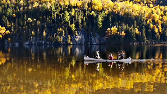 Canoeing through fall's colors
