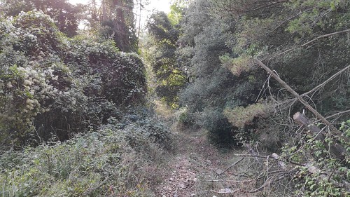IMG_20191027_155140