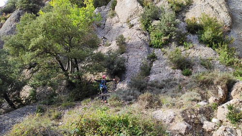 IMG_20191027_154713_1