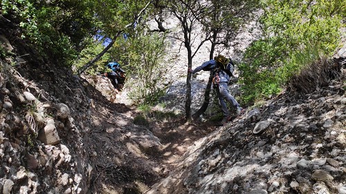 IMG_20191027_141620_1