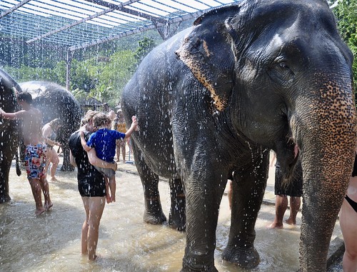 Elephant shower, Green Elephant Sanctuary