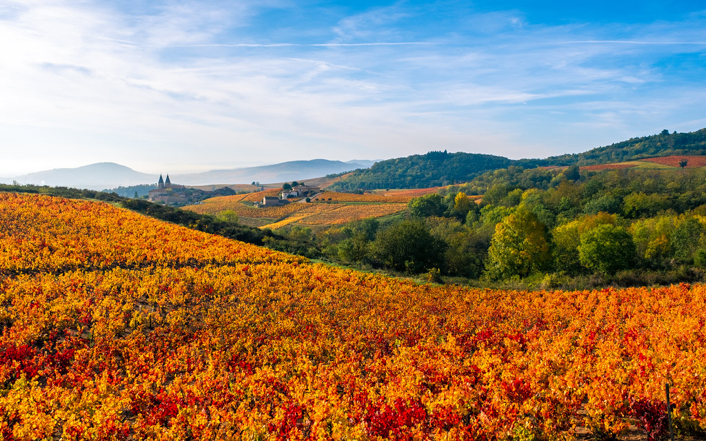 Autumn colors in Beaujolais
