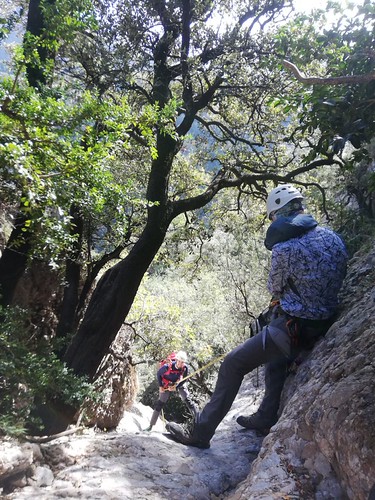 IMG-20191027-WA0091