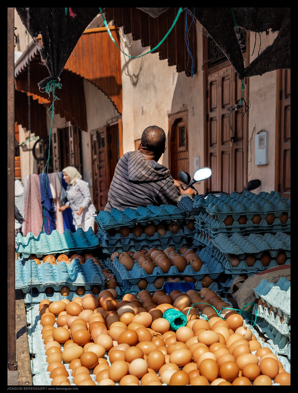 Marrakesh - مراكش
