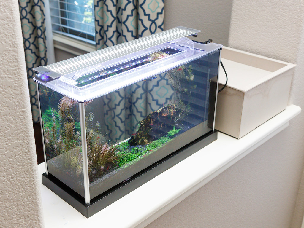 20 Inch 24/7 LED KLC Aquarium LED Light Automated Full Spectrum Fish Tank Light Finnex Planted 