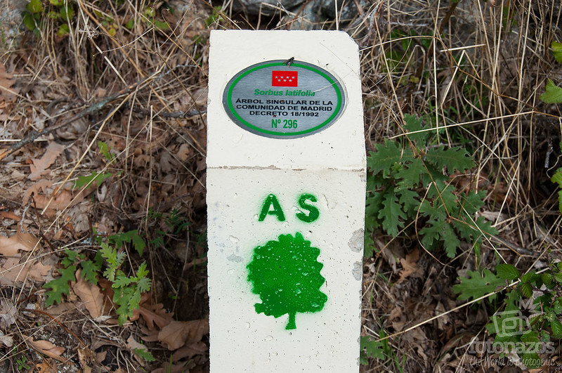 Ruta a la presa del arroyo Artiñuelo en Rascafría Ruta a la presa del arroyo Artiñuelo en Rascafría
