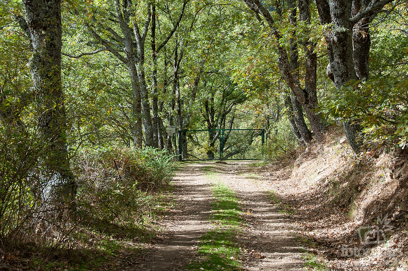 Ruta a la presa del arroyo Artiñuelo en Rascafría Ruta a la presa del arroyo Artiñuelo en Rascafría