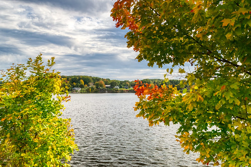 crotondampond hdr michigan nikon nikond5300 outdoor autumn clouds color colorful colour fall foliage geotagged leaves outside sky tree trees