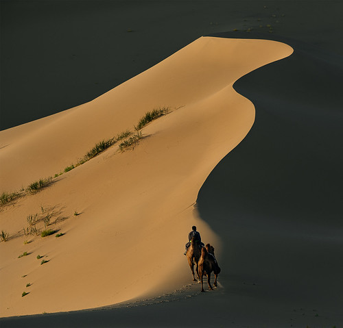 500mm camel d810 dalanzadgad daylight desert dunes gobi mongolia nikon outdoor sand dalandsadgad ömnögovĭ mongólia