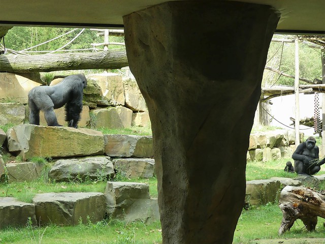 Zoo Antwerpen