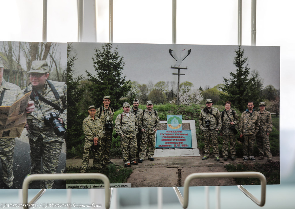 Полесский государственный радиационно-экологический заповедник 999A5551