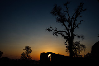 Tree & Doorway Silhouette Silhouette Madhavgarh Fort, Madhya Pradesh India