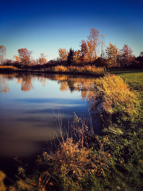 The Pond. Belle River, ON.
