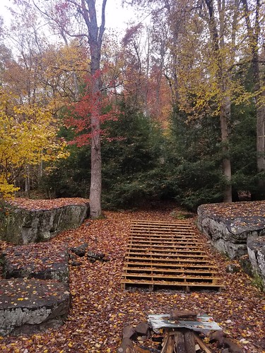 leaves fall autumn stairs cowen trees rock rocks westvirginia