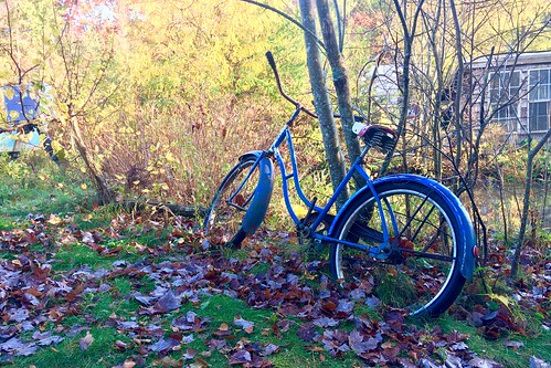 chickencoop pond fall maine farm old bicycle blue