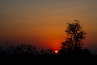 Sunset, Madhya Pradesh India