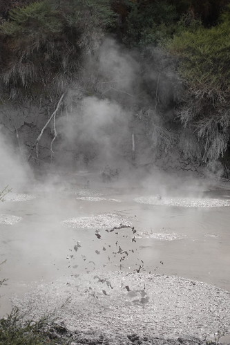 Mudpool, Wai-o-tapu NZ | by w.verzeijl