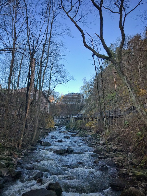 Alnaelva i Svartdalen