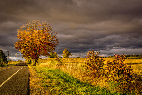 leelanau zeisstouit32mmf18 autumn landscape road sky suttonsbay michigan unitedstatesofamerica