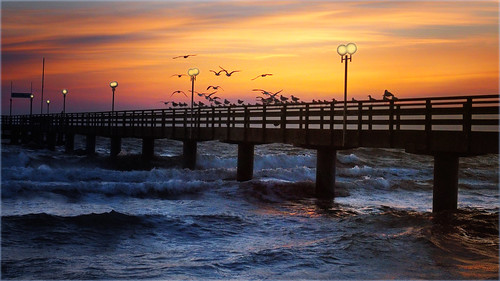 sunrise morgenlichtanderostsee einneuermorgen stürmischebegrüsung wellen waves möwen seagulls birds pier seebrücke haffkrug