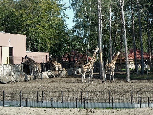 Safaripark Beekse Bergen