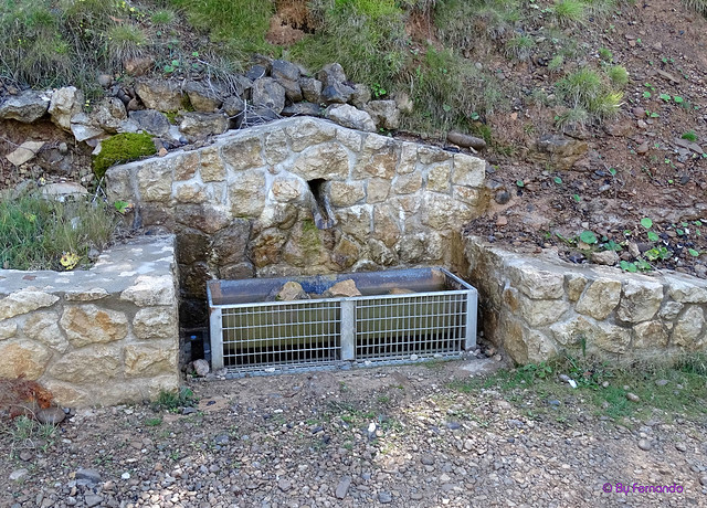 La Vall de Lord'19 -18- Ruta Montcalb-El Ferrús-Peguera -04- Camí a Peguera -03- Font del Querot 02 (05-10-2019)