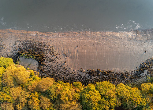 mersey shoreline eastham easthamferry easthamwoods sunrise drone parrot anafi top down wirral autumn river photography