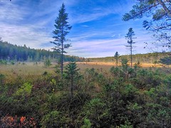 Nine Mile River Trails