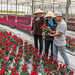 50243-001: High-Value Horticulture Development Project in Viet Nam