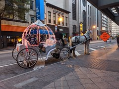 Horse and carriage, Atlanta