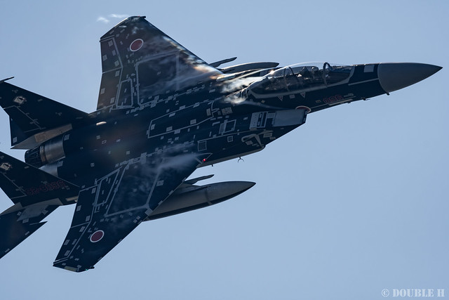 JASDF Komatsu AB Airshow 2019 (94) Maneuver Flight - Aggressor