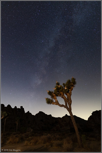 california joshuatreenationalpark joshuatree lll milkyway galaxy lightpollution stars blythe unitedstatesofamerica