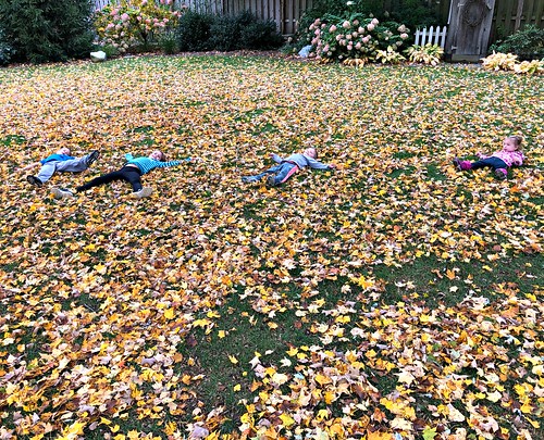 kids playing in the leaves
