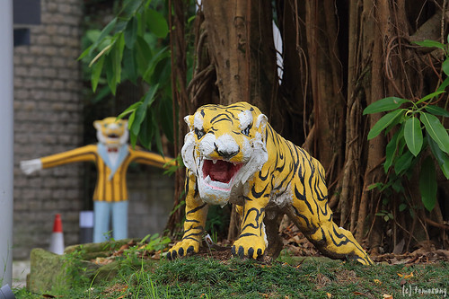Tiger Balm Garden
