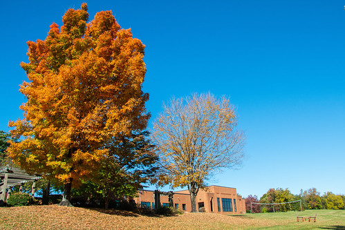 PVCC Campus - Fall Foliage09