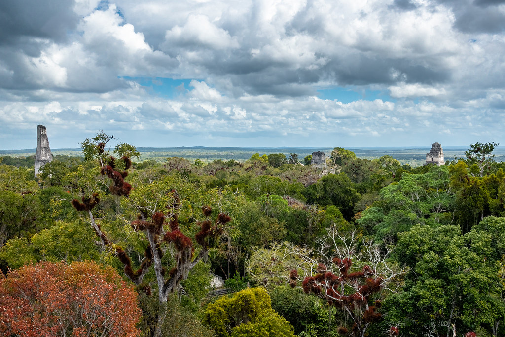2019 Colorful jungle around Tikal
