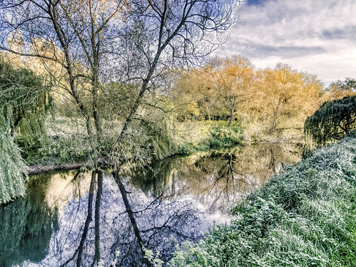 uk england landscape trees foliage water waterside river countryside sunlight light fall autumn nature natural