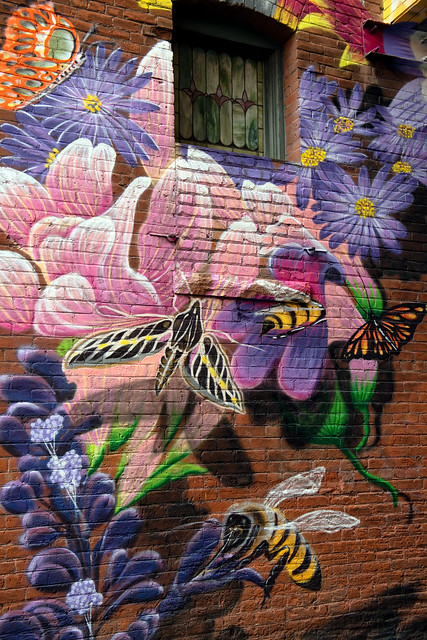 Denver Flower Wall Art