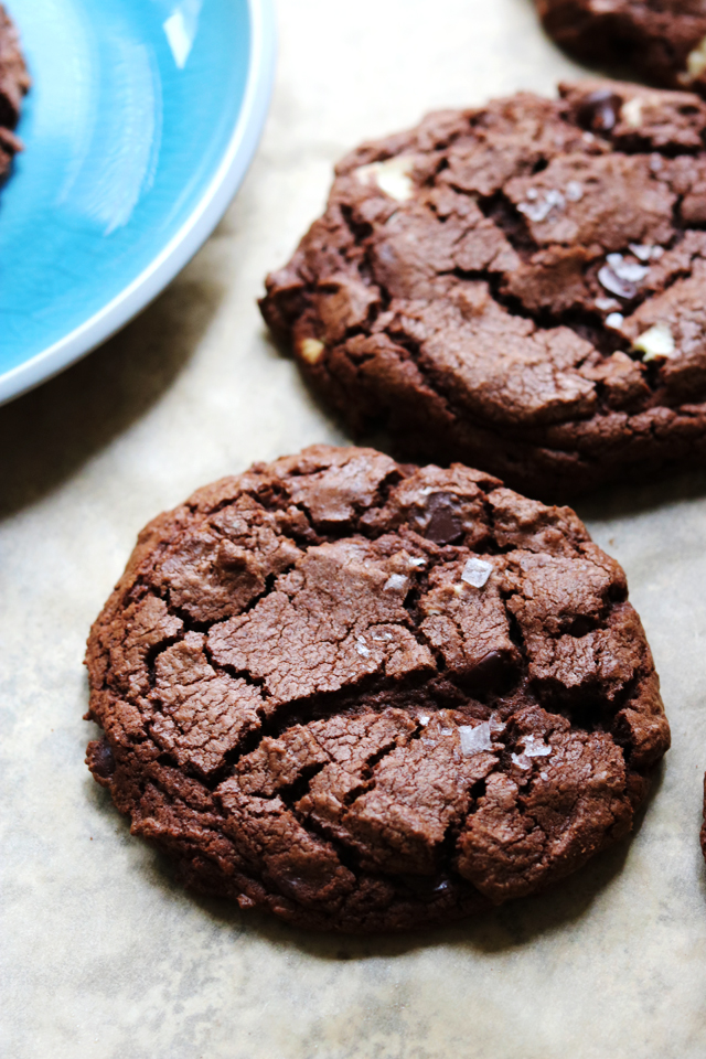 double (and by double I mean TRIPLE) chocolate cookies