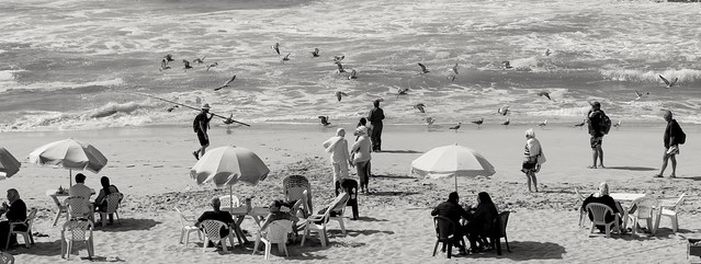 Sunday at the beach Oualidia Marocco People and birds