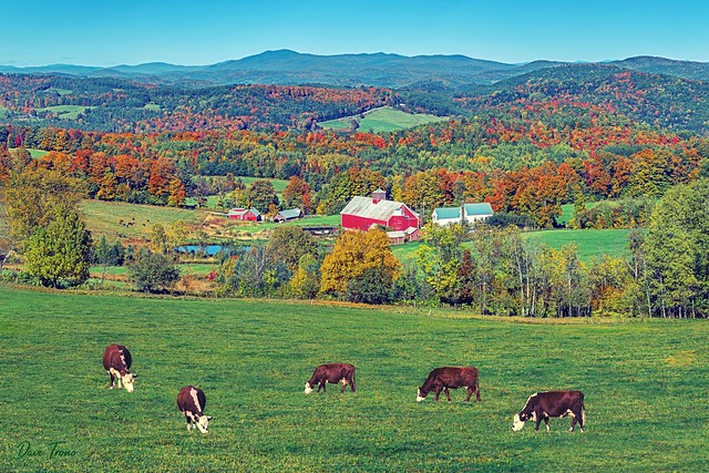 Bogie Mountain Farm, Vermont