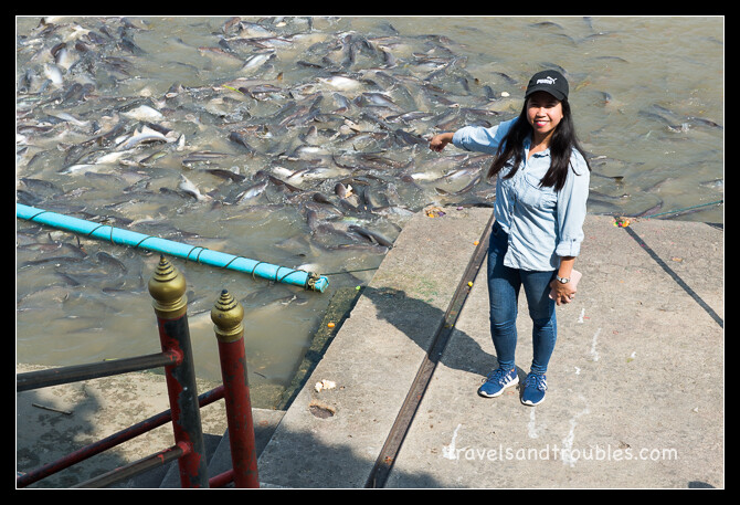 Vissen voeren - Wat Phanan Choeng Worawihan