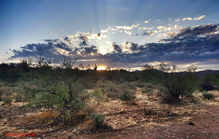 Sunrise Desert Arizona