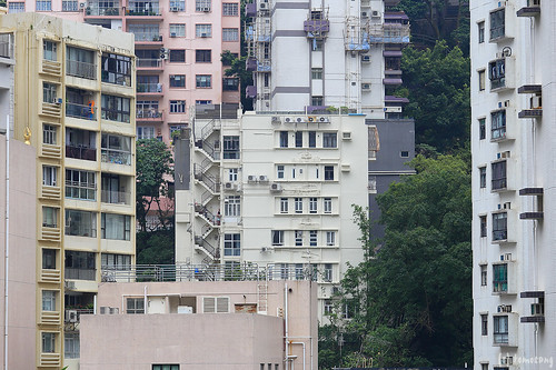 Buildings in Tai Hang