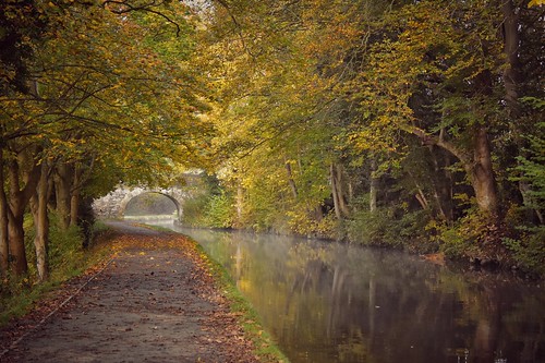 nature landscape canal water bridge wales llangollen llangollencanal autumn fall trees autumnleaves autumncolour