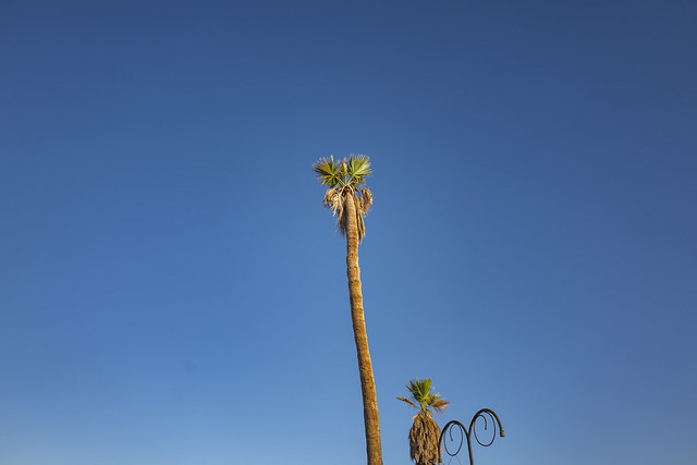 Bombay Beach, Slab City, The Salton Sea, and Palm Springs