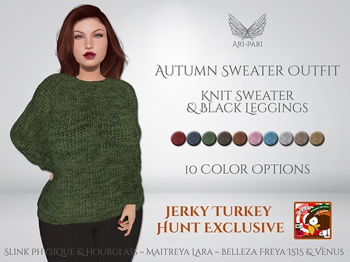[Ari-Pari] Autumn Sweater Outfit