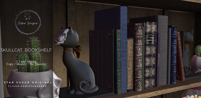 Skull Cat Bookshelf