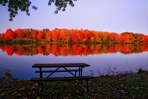 centralillinois fallcolors moraineviewstatepark dawsonlake leaves lake water picnictable autumn